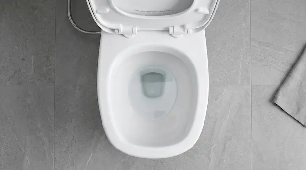 Desentupidora de Vaso Sanitário